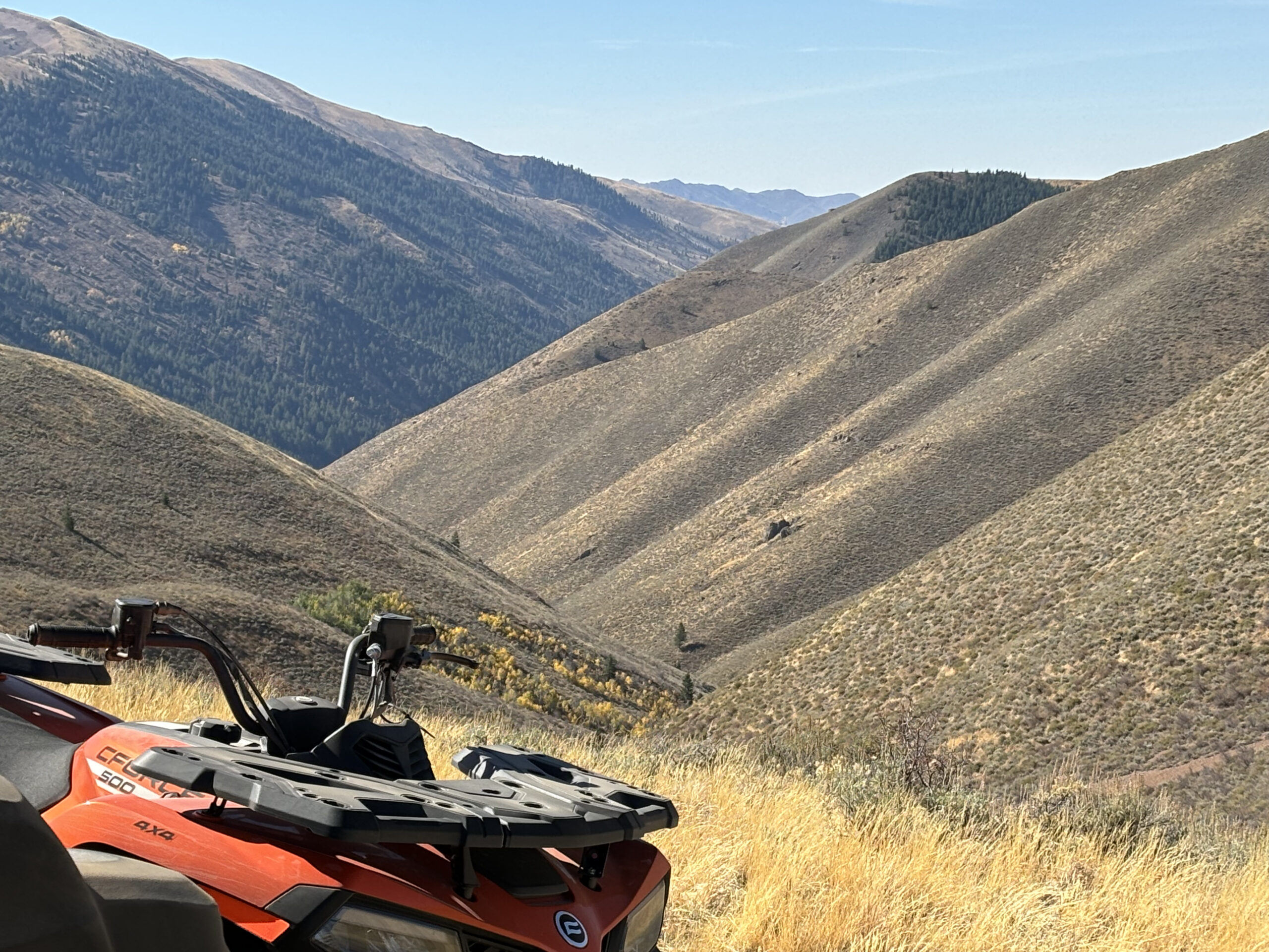 Martin Canyon